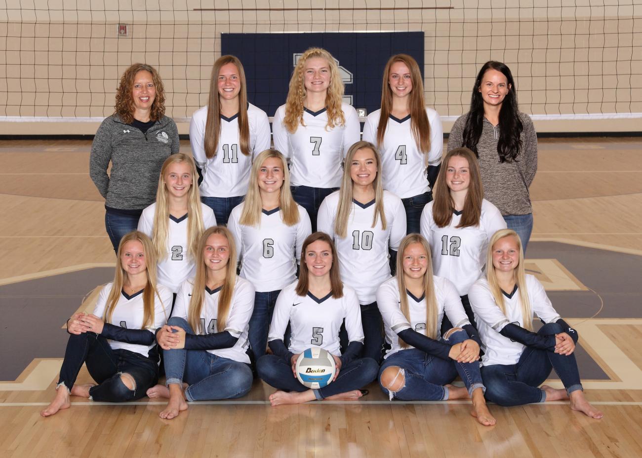 DasselCokato High School Volleyball, Girls Teams MSHSL