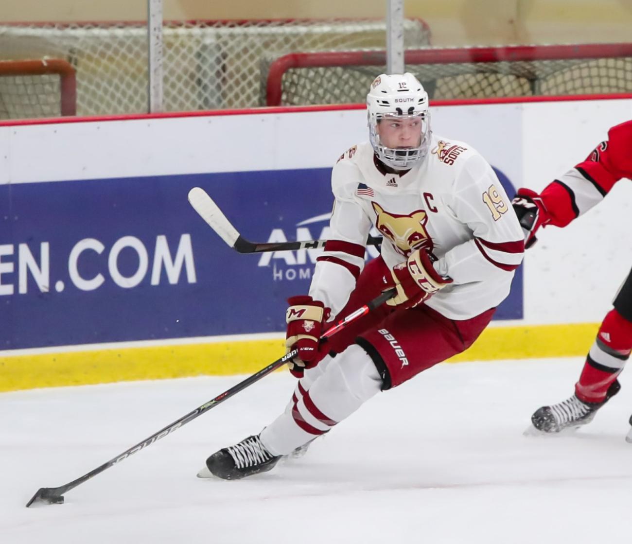 Senior AA men's hockey team being created in Sylvan Lake