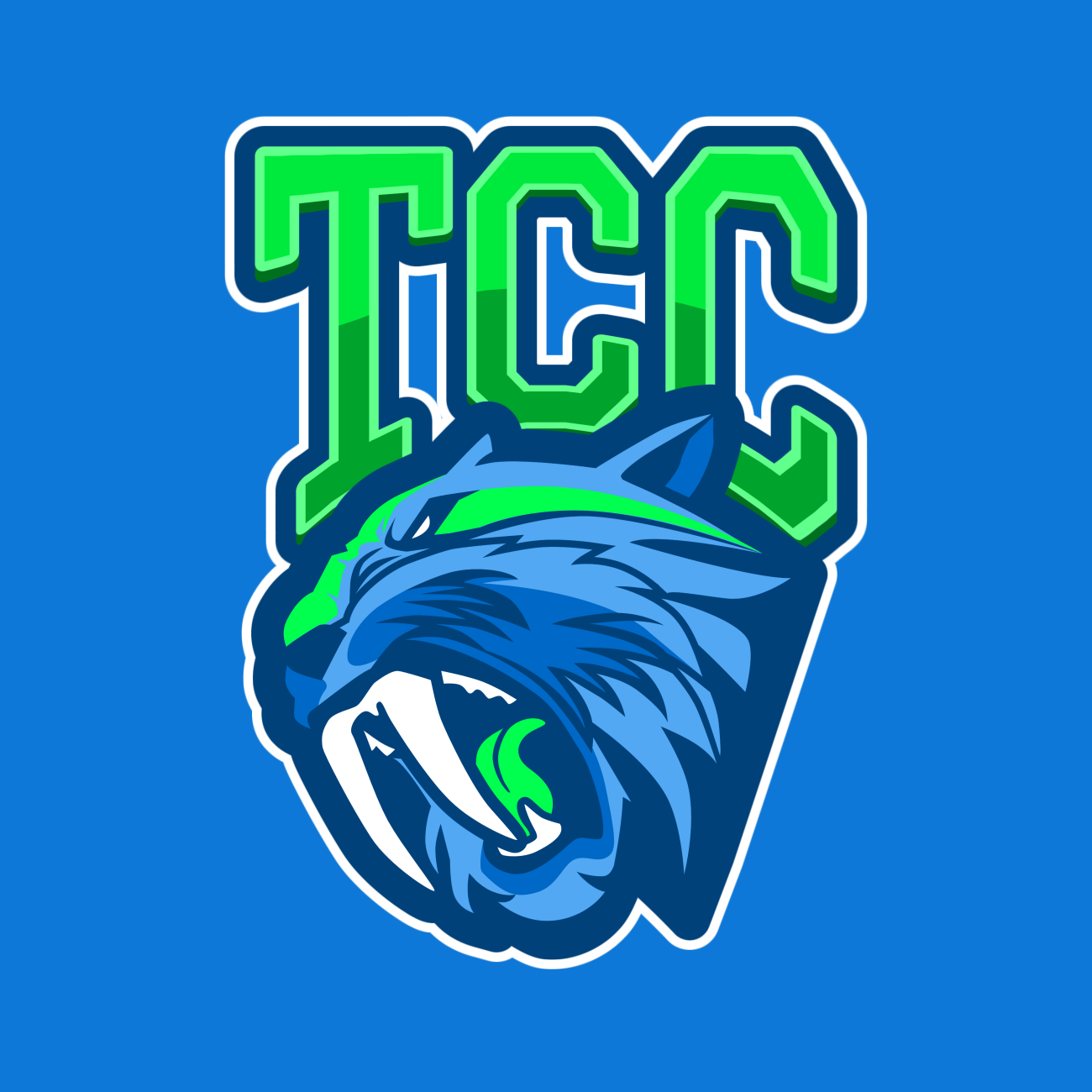 Twin Cities Charter High School Football