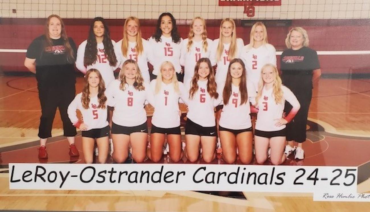 Cardinal Volleyball