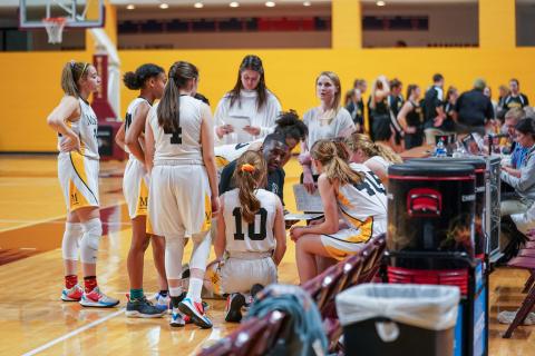 Marshall School, Duluth Hilltoppers Girls' Basketball Timeout at State