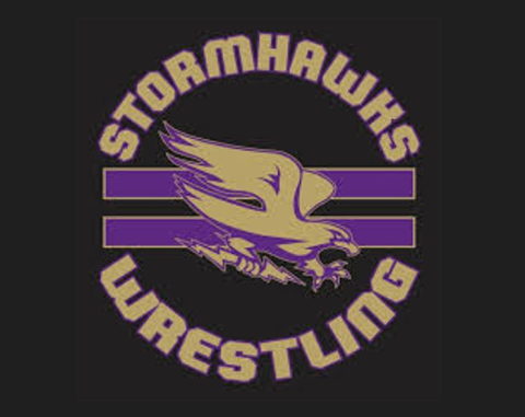 Stormhawk Logo